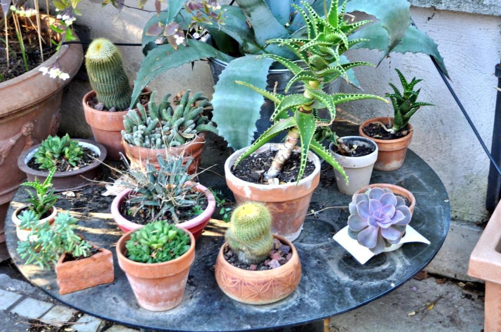 Il Boom Bed and breakfast Roma